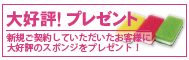 大好評！プレゼント：新規ご契約していただいたお客様に大好評のスポンジを1個プレゼント！