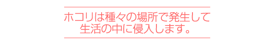 ホコリは種々の場所で発生して生活の中に侵入します。